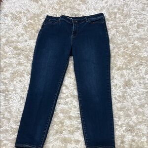 Talbots Dark Blue Ankle Jeans